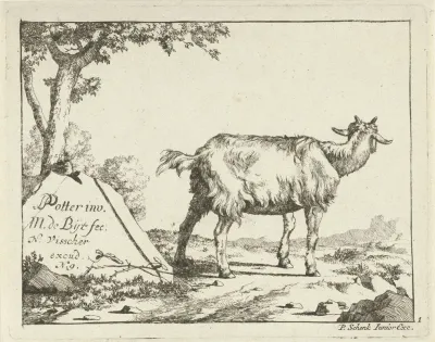 Standing Goat Seen From Behind
