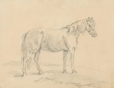 Standing Horse