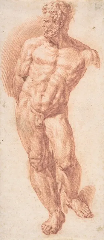 Standing Male Nude 4