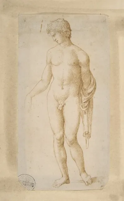 Standing Male Nude 7