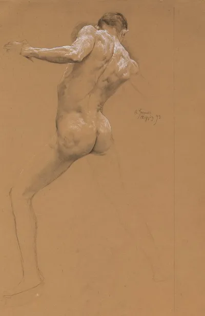 Standing Male Nude From Behind