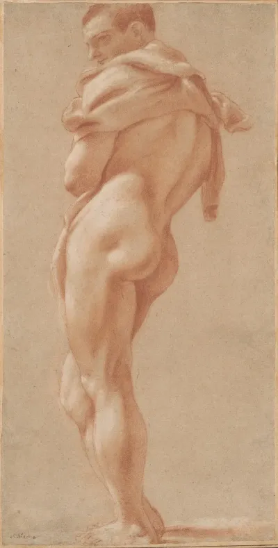 Standing Male Nude Seen From Behind