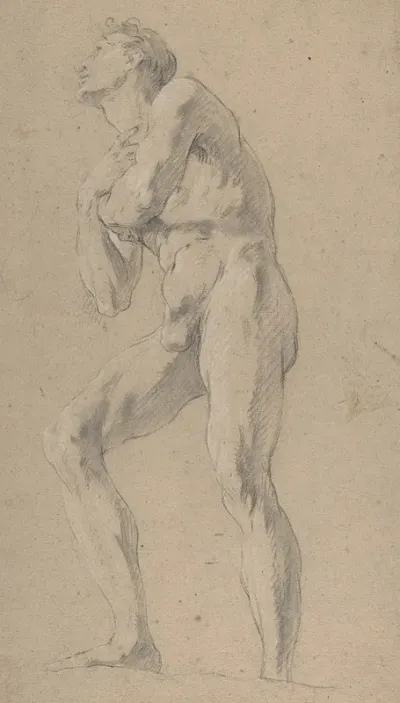 Standing Male Nude Seen From Below