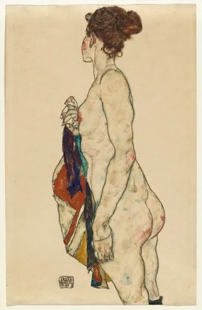 Standing Nude With A Patterned Robe