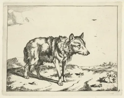 Standing Wolf