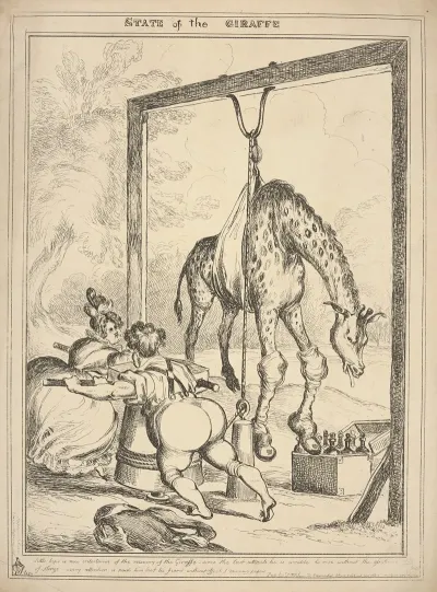 State Of The Giraffe
