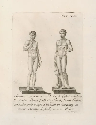 Statua In Marmo Dun David Di Lodovico Salvetti