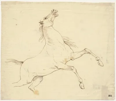 Steigerend Paard Doortrek