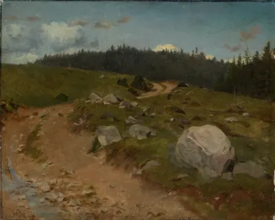 Steiniger Weg Am Waldrand