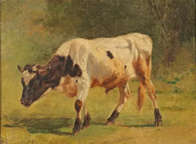 Stier 2