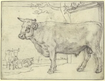 Stier Nach Links Hinten Zwei Kuhe Und Eine Melkerin