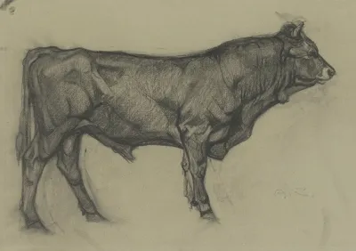 Stier Nach Rechts Stehend