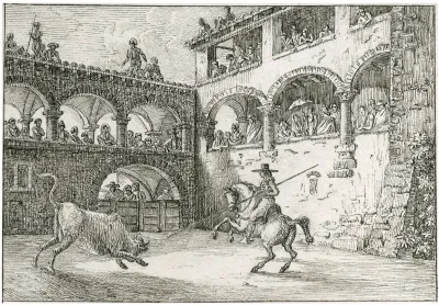 Stieregevecht In Arena 2