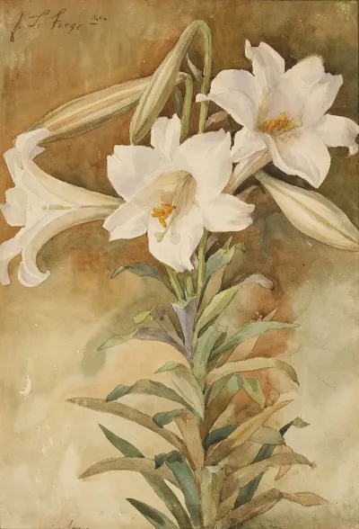 Still Life Of Easter Lilies