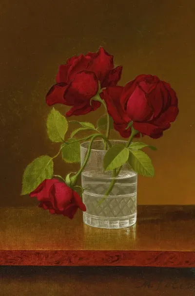 Still Life Of Roses