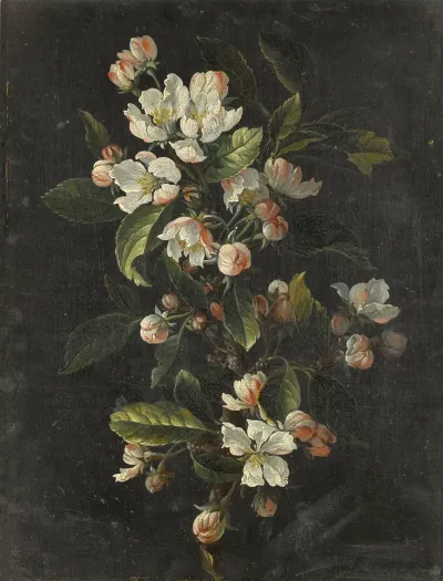 Still Life Of Tulips