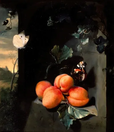 Still Life With Apricotes And Butterflies