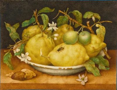 Still Life With Bowl Of Citrons