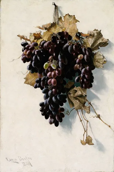 Still Life With Grapes 2