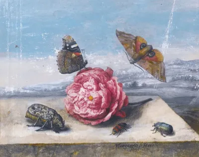 Still Life With Insects Around A Rose On A Stone Ledge