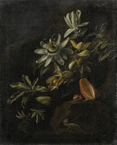 Still Life With Passionflowers