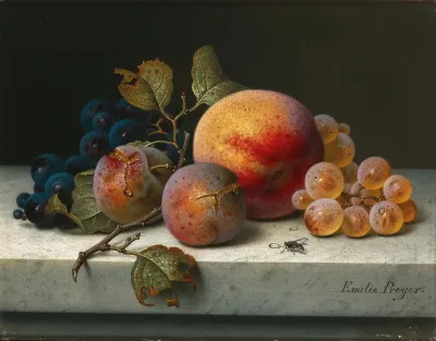 Still Life With Peach Plums Grapes And A Fly