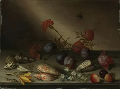 Still Life With Shells Fruit And Flowers
