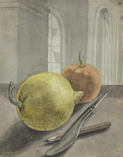 Stilleven Met Vruchten Mes En Potlood