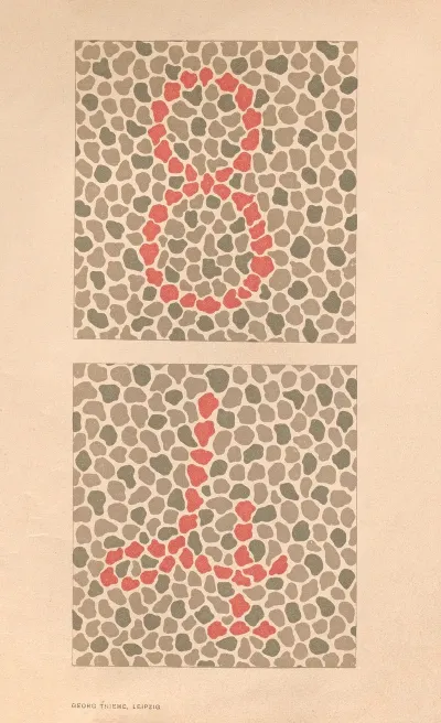 Stillings Pseudo Isochromatic Plates For Testing Color Perception Pl 05