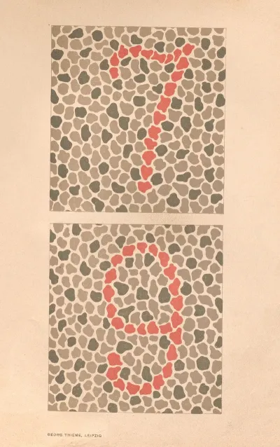 Stillings Pseudo Isochromatic Plates For Testing Color Perception Pl 06