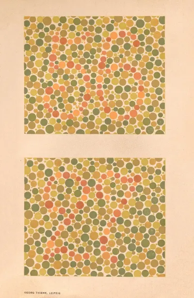 Stillings Pseudo Isochromatic Plates For Testing Color Perception Pl 08