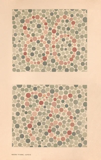 Stillings Pseudo Isochromatic Plates For Testing Color Perception Pl 14
