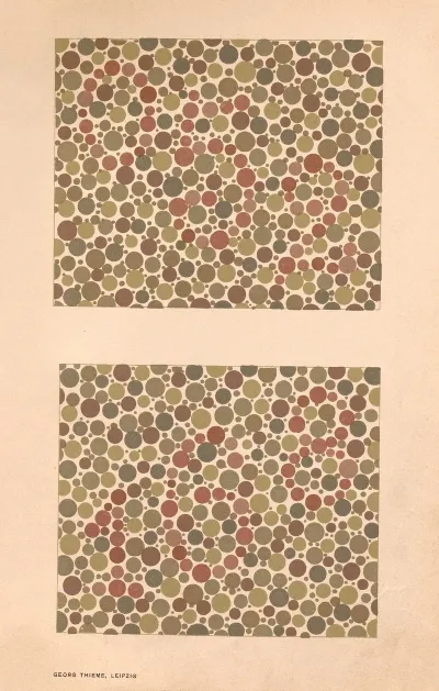 Stillings Pseudo Isochromatic Plates For Testing Color Perception Pl 16