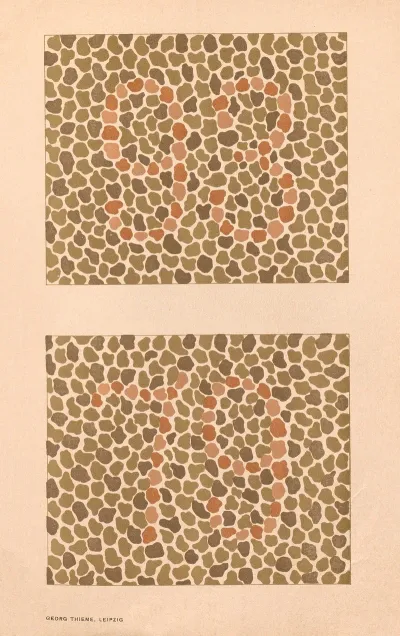 Stillings Pseudo Isochromatic Plates For Testing Color Perception Pl 17