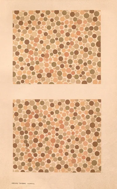 Stillings Pseudo Isochromatic Plates For Testing Color Perception Pl 19