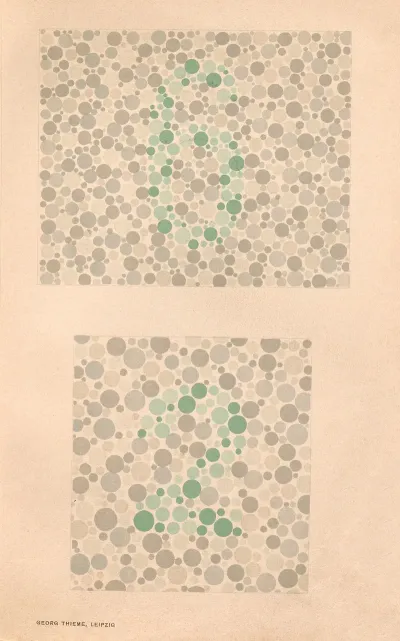 Stillings Pseudo Isochromatic Plates For Testing Color Perception Pl 20