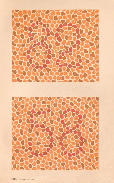 Stillings Pseudo Isochromatic Plates For Testing Color Perception Pl 22