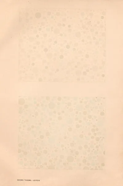 Stillings Pseudo Isochromatic Plates For Testing Color Perception Pl 26