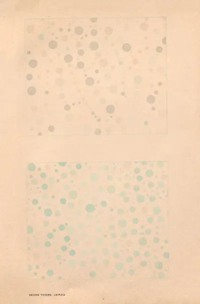 Stillings Pseudo Isochromatic Plates For Testing Color Perception Pl 28