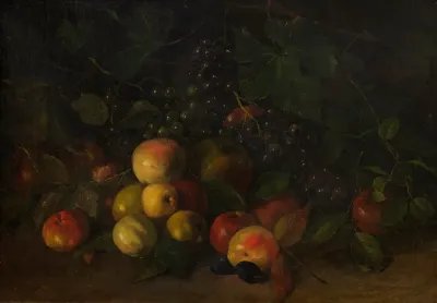 Stillleben Mit Fruchten 3