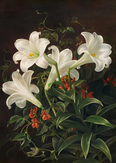 Stillleben Mit Weisen Lilien Und Bluhenden Lubera Ranken