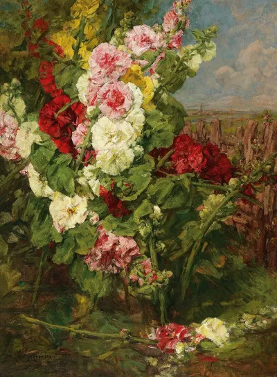 Stockrosen