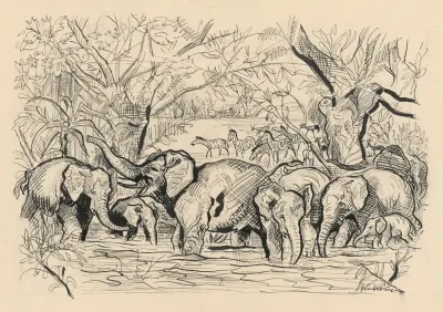 Stories In Wilderness 9