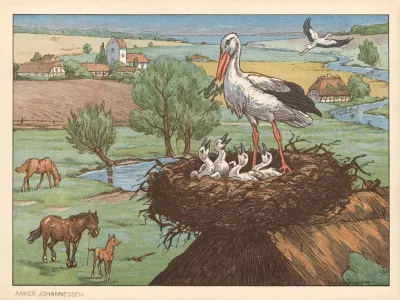 Stork Stork Langeben Unger I Reden