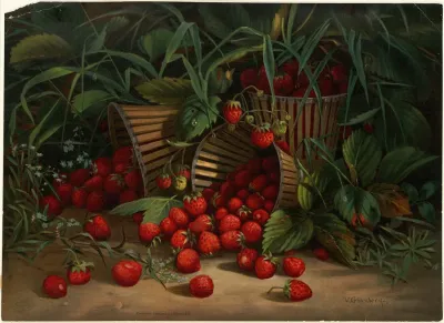 Strawberries