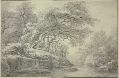 Stream At The Edge Of The Forest
