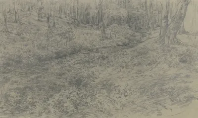 Stream In The Forest 3