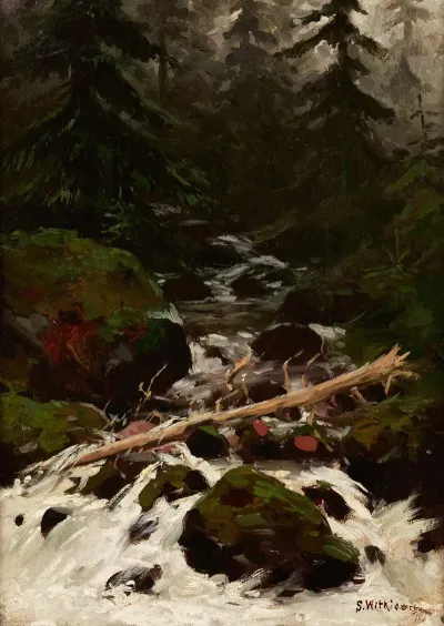 Stream In The Forest