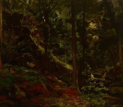 Stream In The Woods