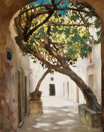 Street In Sarajevo